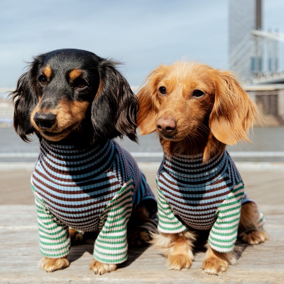 Meet your Posher, Chelsea & Brooklyn - Picture 1 of 6